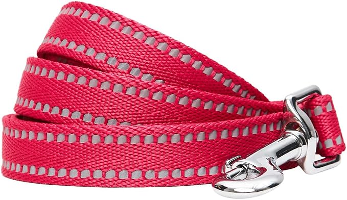 Blueberry Pet Matching Reflective Harness and Leash Set | Adjustable Pastel Vest with Lead for Dogs – Great Value Gift Set | Adjustable Very Berry Vest for Medium Breeds