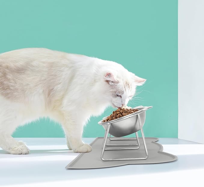 Elevated Cat Bowls, 2 Pack Raised Cat Food Water Bowls with Non-Slip Placemat, 15° Tilted Stand Anti Vomiting Stainless Steel Pet Food Feeding Dishes Plate for Cats Kitten Puppies Dogs Small Animals
