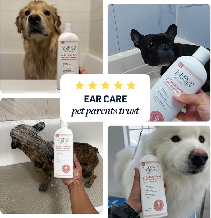 Veterinary Formula Clinical Care Hot Spot & Itch Shampoo, 16 oz, 2-Pack | Medicated shampoo for dogs and cats that helps alleviate sensitive skin, scratching and licking of the coat