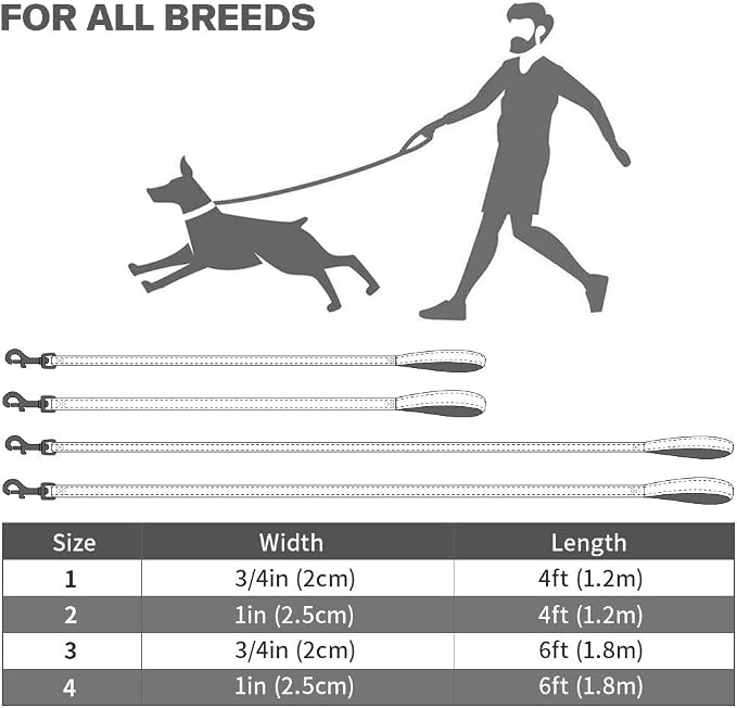 Taglory 10"-16" Dog Collar and 6 FT Dog Leash Set, Highly Reflective Threads Dog Leash, Adjustable Reflective Dog Collar with Safety Locking Buckle for Small Dogs