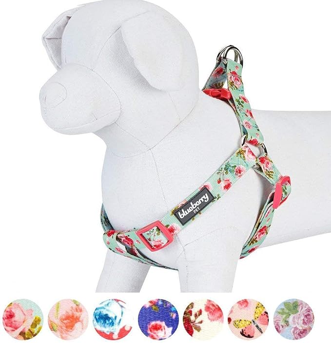 Blueberry Pet 9 Patterns Step-in Spring Scent Inspired Floral Rose Print Turquoise Dog Harness, Chest Girth 16.5" - 21.5", Small, Adjustable Harnesses for Dogs