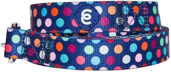Blueberry Pet Valentine's Day Dog Leash, Velvety Soft-Touch Heart Flocking Lead for Large Dogs, Rainbow Polka Dots, 4 ft x 1"