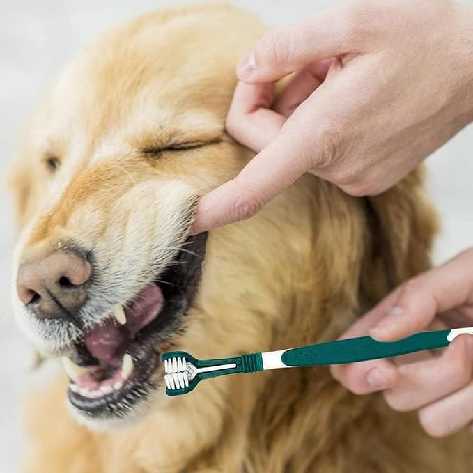 Green Dog Toothbrush, Triple Headed Toothbrush Dog Toothbrush for Pet, Pet Supplies