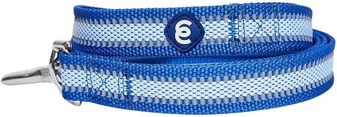 Blueberry Pet Essentials Reflective Dog Leash, Puppy Essentials, Gentle Leader for Dogs, Navy Blue, 5 ft x 5/8 in, Dog Leash for Small Dogs, Durable & Easy Care for Active Pet Owners