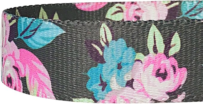 Blueberry Pet 7 Pattern Rose Flower Prints Girly Dog Leash with Soft & Comfortable Handle, 5 ft x 3/4", Medium, Leashes for Dogs
