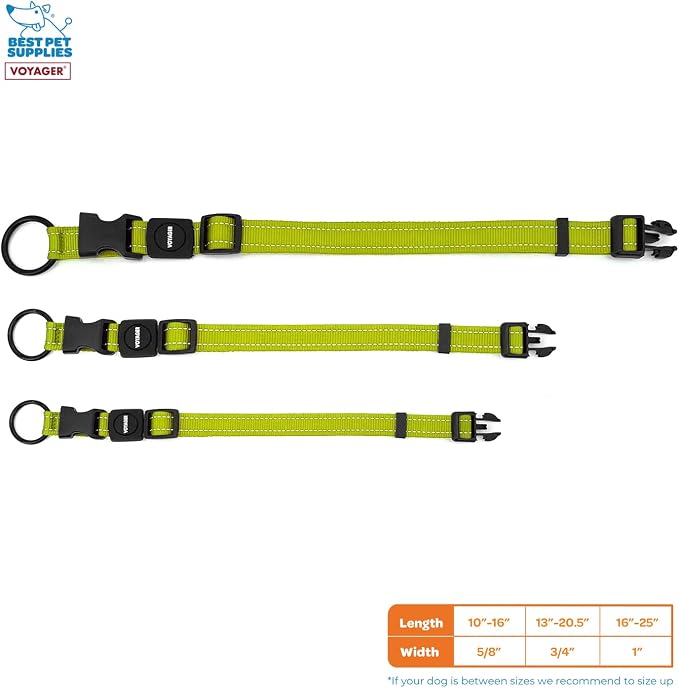 Best Pet Supplies Voyager Reflective Dog Leash or Collar with Neoprene Handle, for Small, Medium, and Large Breed Puppies, Cute and Heavy Duty for Walking, Running and Training - Lime Green, M