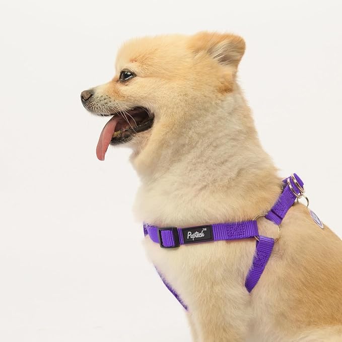 PUPTECK No Pull Dog Harness Small Sized Step-in Adjustable Puppy Vest | Soft Webbing Basic Halter with ID Tag for Outdoor Walking