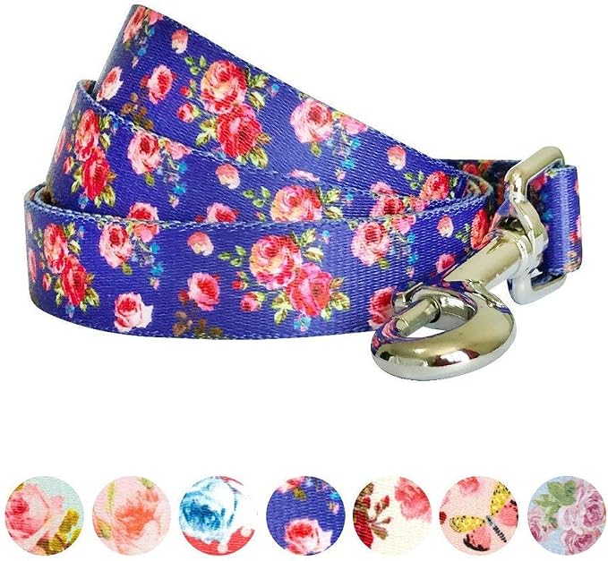 Blueberry Pet 9 Patterns Durable Spring Scent Inspired Rose Print Irish Blue Dog Leash 5 ft x 3/4", Medium, Leashes for Dogs