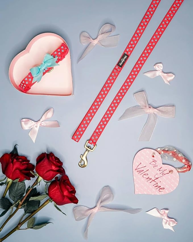 Blueberry Pet Step-in Dog Harness Velvety Heart Flocking Valentine’s Day Adjustable Harnesses for Medium Dogs, Lust Red, Chest Girth 20" - 26"