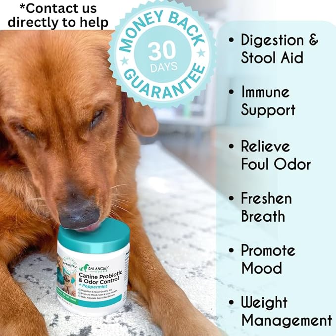 Natural Probiotics Dogs Digestive Health Soft Chews Gut Yeast Odor Control