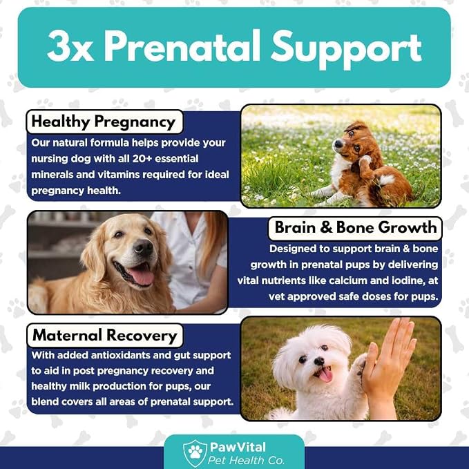 Dog Prenatal Vitamins for Pregnant & Nursing Dogs – 120 Soft Chews with Folic Acid, DHA, Choline, Iron & Calcium – Prenatal Multivitamin Supplement for Puppy Development, Pregnancy & Lactation Support