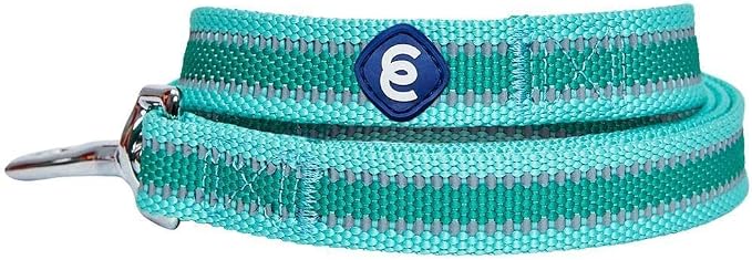 Blueberry Pet Essentials Reflective Better Basics Dog Leash, Minty Green, 5 ft x 3/4", Medium, Leashes for Dogs