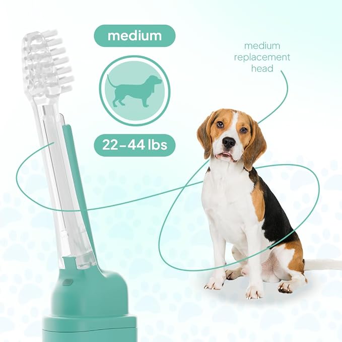 Dog Toothbrush Replacement Heads | 2 Pack | Replace Every Three Months | Reduces Bad Breath | Compatible with Petsie Toothbrush Only (White, Medium Dogs)