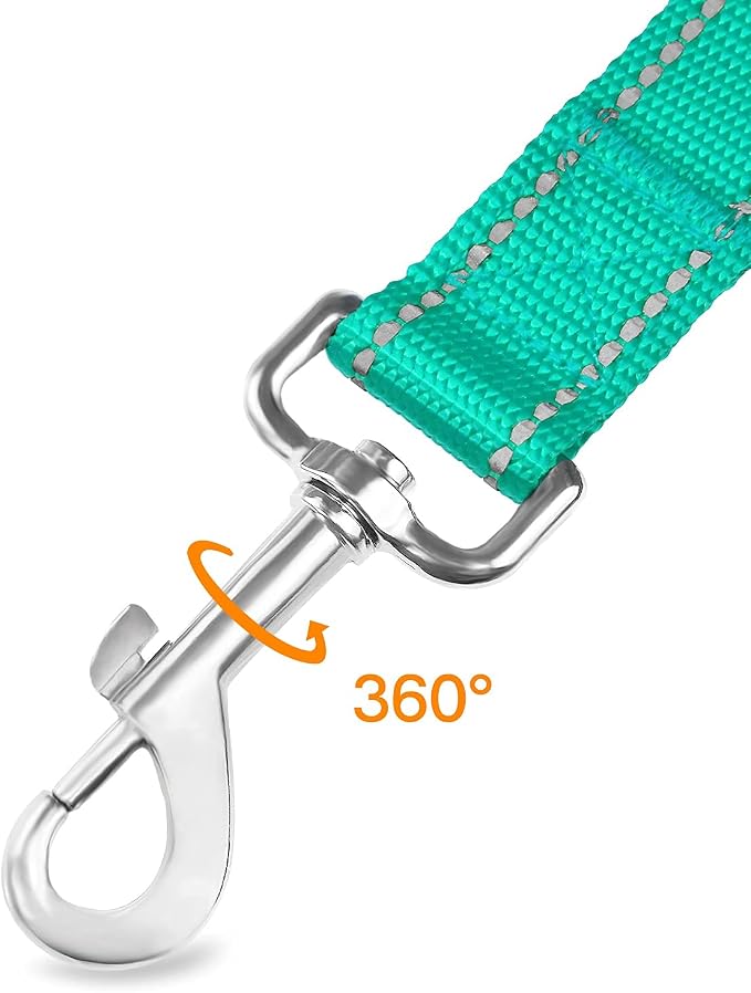 Joytale Dog Collar Bundle with 5FTx3/4 Width Double-Sided Reflective Dog Leash,5FT Nylon Dog Leashes with Nylon Dog Collar for Small Dogs,Teal