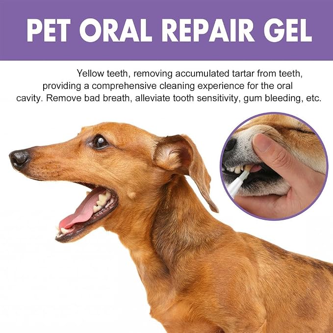 Wmool Lettuce Pets - Lettuce Pets Toothbrush, Lettuce Pets Dog Toothbrush, Lettuce Pets Oral Repair Gel, Lettuce Pets Dog Grooming Set, Pet Breath Freshener Gel Care Cleaner for Dog Cats