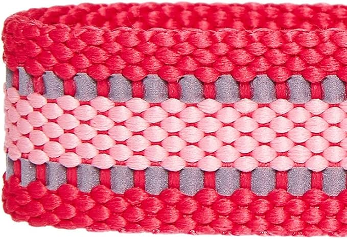 Blueberry Pet Essentials Pack of 2 Reflective Better Basics Adjustable Dog Collars, French Pink, Medium, Neck 14.5"-20"