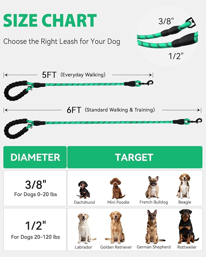Joytale Rope Dog Leash for Medium Large Dogs, Padded Handle, 5FT, Turquoise | Reinforced Nylon Webbing, Comfort Grip Eases Hand Strain, Swivel Clip Prevents Tangles, Visible at Night, for Outdoor Walks