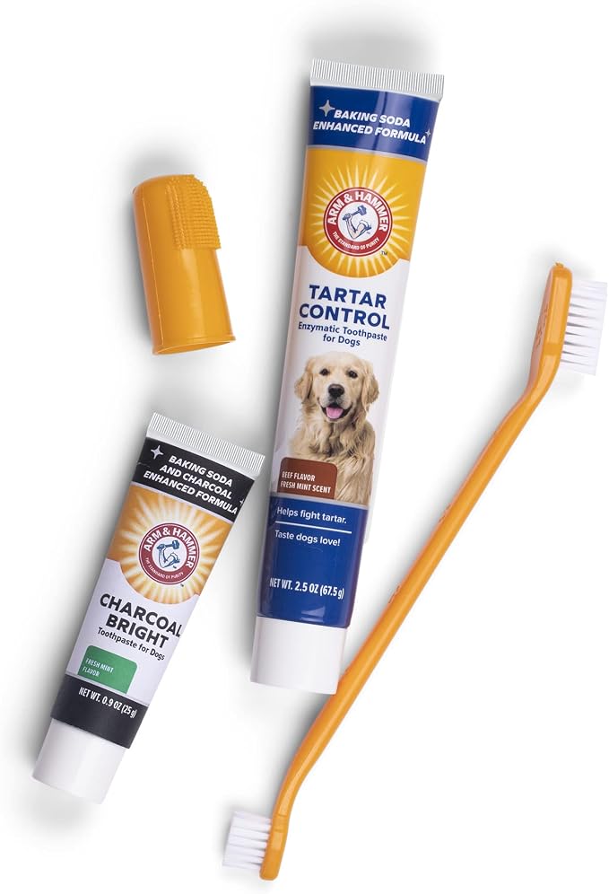 Arm & Hammer Tartar Control Dental Kit for Dogs, with Bonus Charcoal Bright 0.84oz Sample Tube - Dog Toothbrush Dental Kit from Arm & Hammer - 4 Piece Dog Toothbrush Kit, 2.5 Ounce