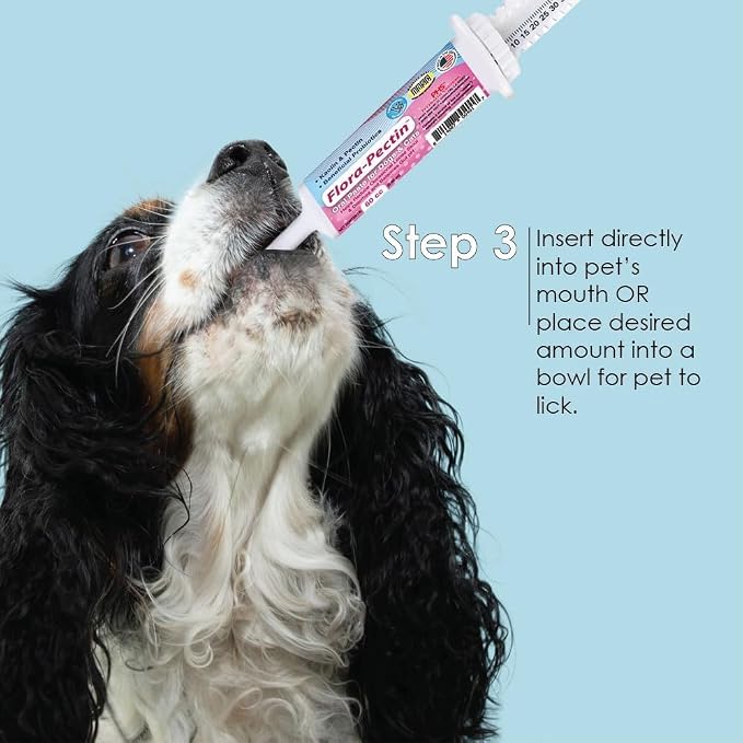 Oral Paste for Dogs & Cats (2 Pack, 30 CC - Tasty Chicken)