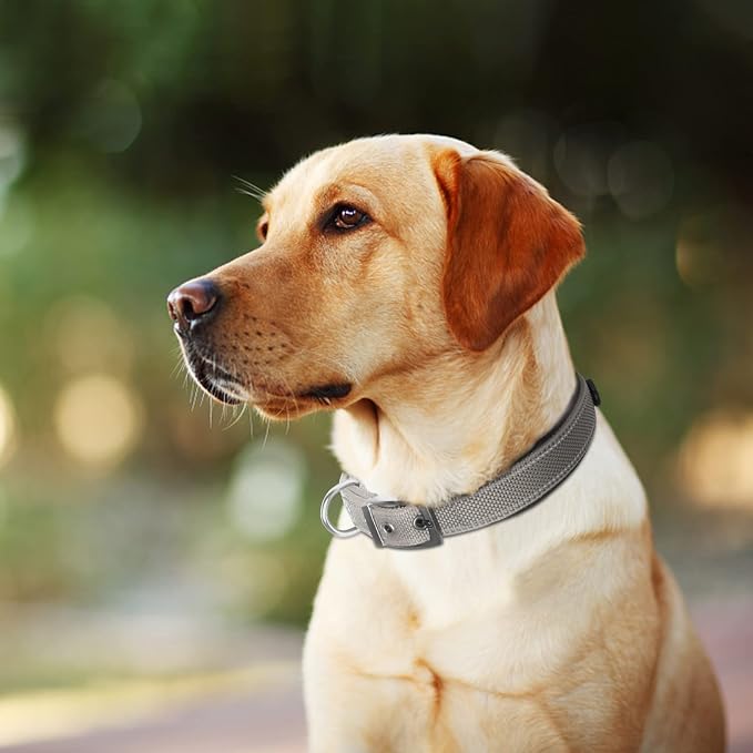 Fida Heavy Duty Dog Collar for Large Dogs with Metal Belt Buckle, Grey | Soft Neoprene Padded for Extra Comfort, Thicker Nylon Webbing, Adjustable Fit, Reflective Stitching for Night Safety