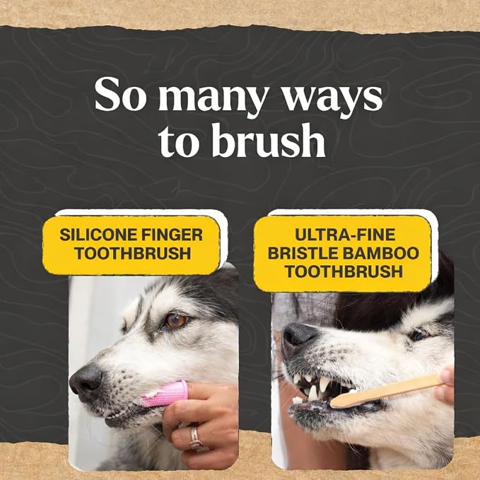 Dr. Oakley Dental Toothbrush Kit for Dogs & Cats - Finger Brush for Small Pets and Soft Brushes for Large or Older Natural and Safe Mint Flavor