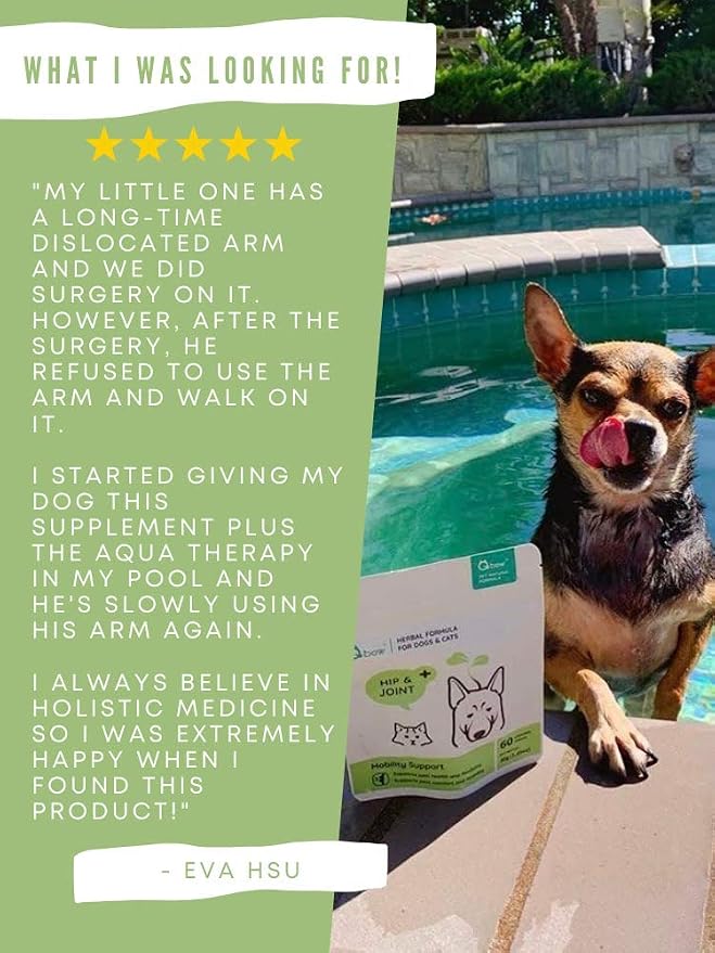 Natural Herbal Hip & Joint Supplements for Dogs & Cats – Holistic All-Natural Herb Blend Joint Supplement Aids Pets with Arthritis, Joint Stiffness, Inflammation, Cartilage Breakdown Pain Relief. 60ct