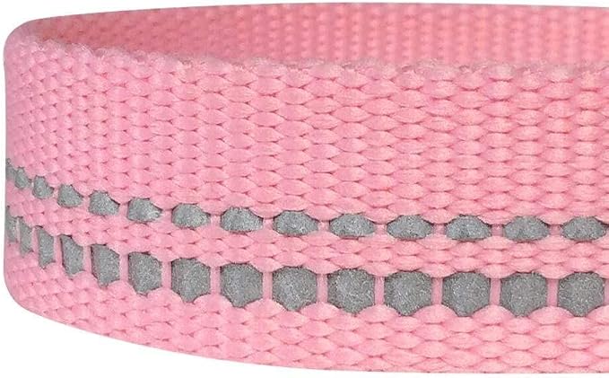 Blueberry Pet 3M Reflective Pastel Color Dog Leash with Soft & Comfortable Handle, 5 ft x 5/8", Baby Pink, Small, Leashes for Dogs