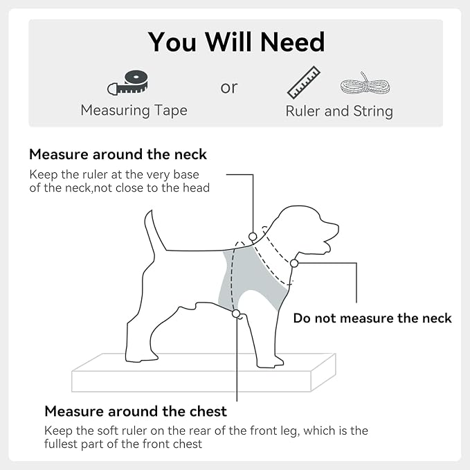 Joytale Step-in Dog Harness, Soft Breathable Mesh, Gray XXS | Adjustable Fit for Small Dogs, Easy Step-in with Secure Fastener, Even Chest Pressure, Reflective For Night Safety, Washable