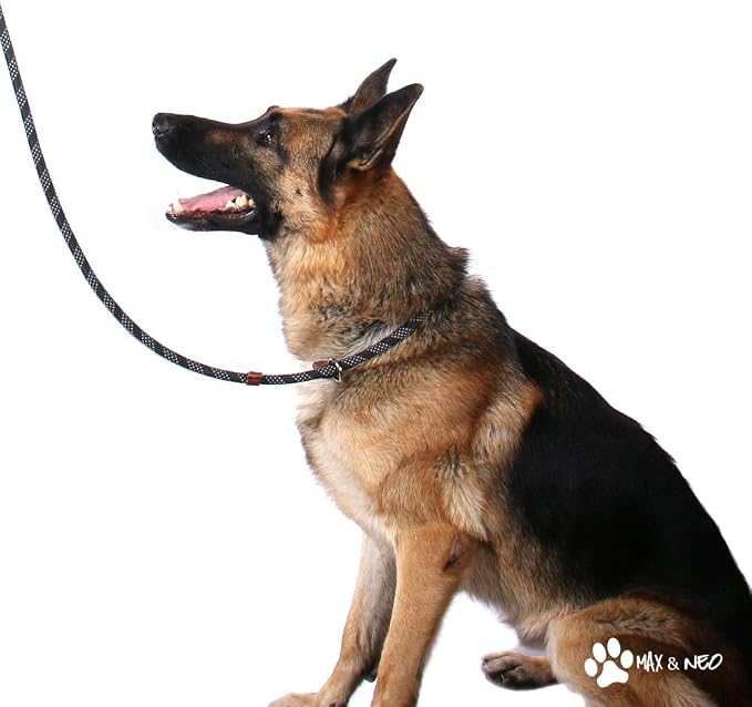 Max and Neo Rope Slip Lead Reflective 5 Foot - We Donate a Leash to a Dog Rescue for Every Leash Sold (5 FT x 1/2", RED)