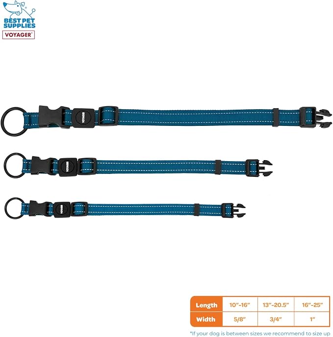 Best Pet Supplies Voyager Reflective Dog Leash or Collar with Neoprene Handle, for Small, Medium, and Large Breed Puppies, Cute and Heavy Duty for Walking, Running and Training - Blue, M