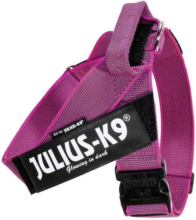 Julius-K9 IDC Color & Gray Belt Harness, Size: 2XL/3, Pink-Gray