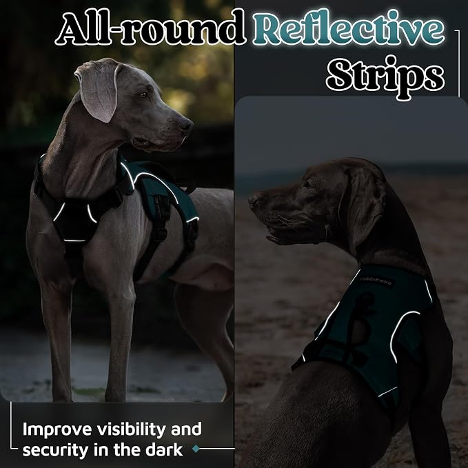 rabbitgoo Escape Proof Dog Harness for Medium, No Pull with Lift Handle | No Escape, Full Soft Padded, Reflective Adjustable Vest, Leash Clip for Walking Hiking Training, Dark Green, Medium
