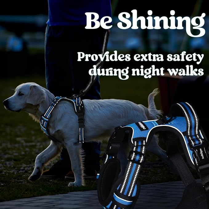 rabbitgoo Dog Harness Medium Sized, Updated Easy On & Off with 3 Buckles | No Pull No Choke, Walking with 2 Clips and Handle, Adjustable Soft Reflective, Sky Blue, Medium