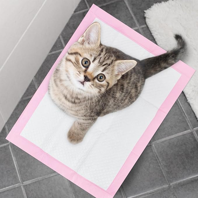 Basics Dog and Puppy Pee Pads with 4-Layer Leak-Proof and Quick-Dry Design for Potty Training, 13” x 17” Ultra Absorbent Disposable Changing Pads for Small Pets -Pink(25 Count)