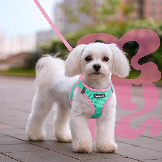 rabbitgoo Dog Harness Small Sized and Leash Set, Step in Soft Vest | Breathable Mesh, Easy Wear with Hook & Loop, Light and Reflective for Walking, Multi-colored, Teal & Pink, L