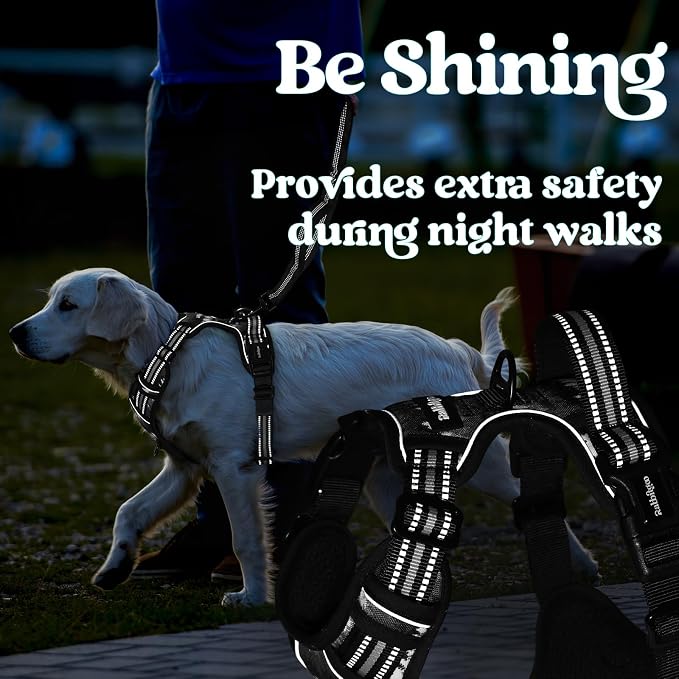 rabbitgoo Dog Harness Small Sized, Updated Easy On & Off with 3 Buckles | No Pull No Choke, Walking with 2 Clips and Handle, Adjustable Soft Reflective, Mountain Black, Small