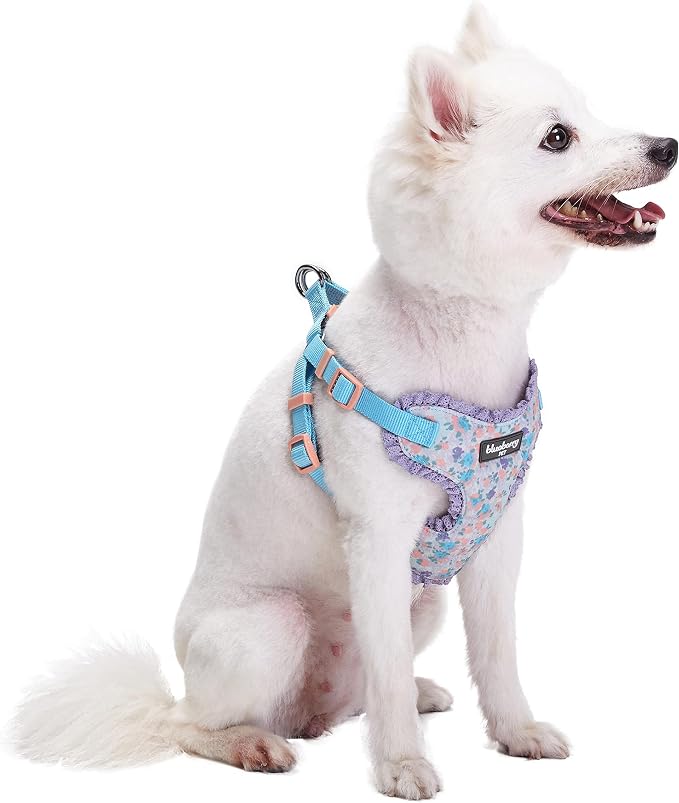 Blueberry Pet Soft & Comfy Made Well Lovely Floral No Pull Mesh Puppy Dog Harness Vest in Lavender, Chest Girth 14"-16", X-Small, Adjustable Harnesses for Dogs & Cats