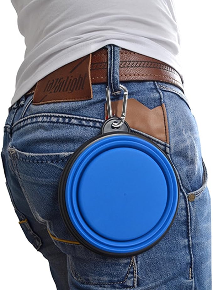 Guardians Large Collapsible Dog Bowls, 2 Pack, 34oz, Green+Blue