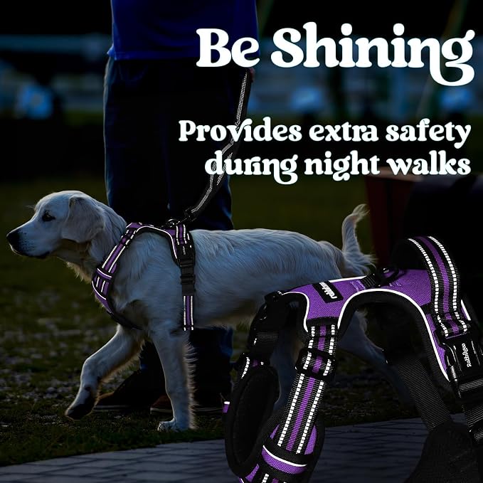 rabbitgoo Dog Harness Medium Sized, Updated Easy On & Off with 3 Buckles | No Pull No Choke, Walking with 2 Clips and Handle, Adjustable Soft Reflective, Purple, Medium