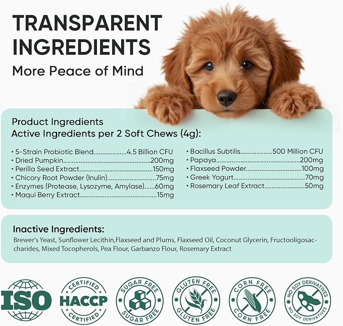 Probiotics for Dogs Gut Digestive Health Probiotic Chews 200 Ct Duck