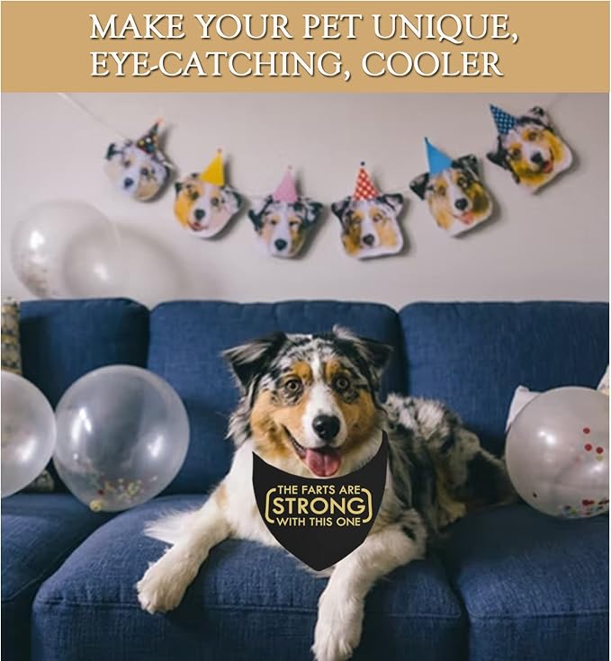 JXGZSO 1 Piece The Farts are Strong with This One Dog Bandana Funny Dog, 70cm * 34cm