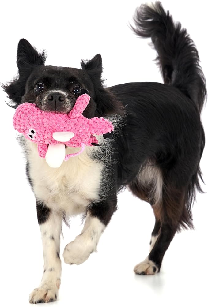goDog Farm Friends Sitting Flying Pig Squeaky Dog Toy, Plush with Chew Guard Technology, Pink, Mini