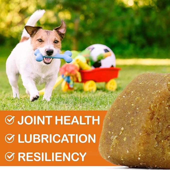 ZIXAOK Glucosamine for Dogs - Hip & Joint Supplement (150 Tablets, 13.2 oz)