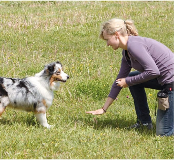 Dog Training Clicker with Wrist Strap, 2 Pack, Black & New Blue