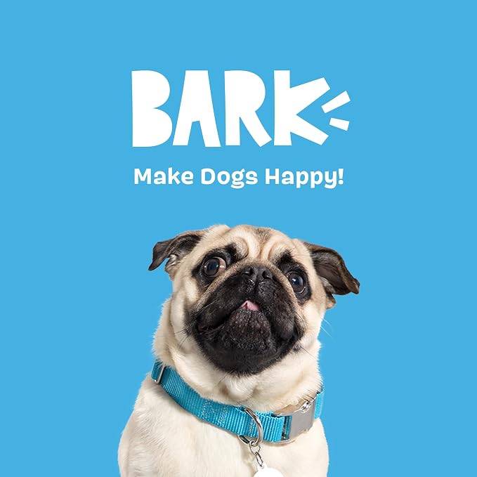 BarkBox Way Rad Rollerblade Dog Toy - for Extra Small to Small Dogs | Plush Rollerblade with Squeaky Tennis Balls, 2 Squeakers & Fluffy Filling
