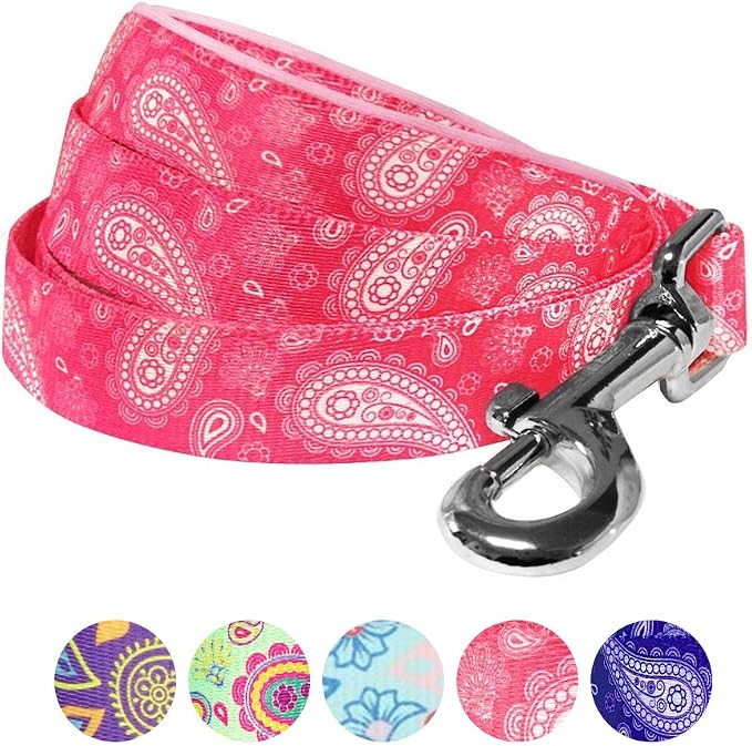 Blueberry Pet 5 Colors Paisley Flower Print Dog Leash with Soft & Comfortable Handle, 5 ft x 3/4", Pink, Medium, Leashes for Dogs