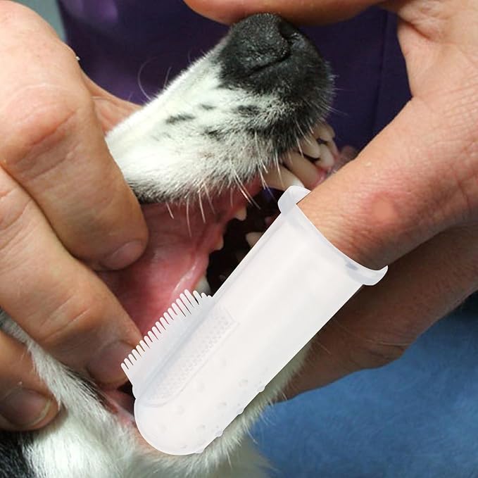Cabilock 10 Sets Silicone Finger Toothbrushes for Pets Comfortable Gums Massager and Teeth Cleaner for Dogs and Cats Small Portable Dental Care Tool for Puppy Teeth Cleaning