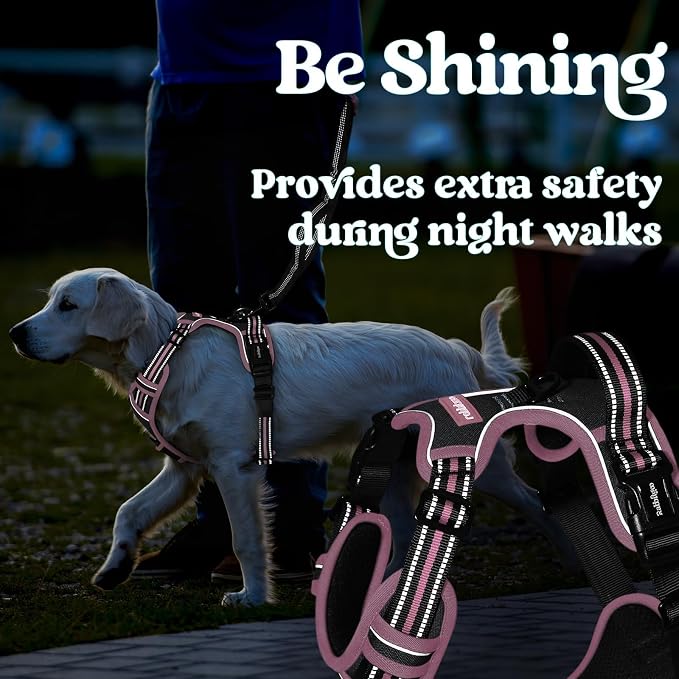 rabbitgoo Dog Harness Medium Sized, Updated Easy On & Off with 3 Buckles | No Pull No Choke, Walking with 2 Clips and Handle, Adjustable Soft Reflective, Black & Pink, Medium