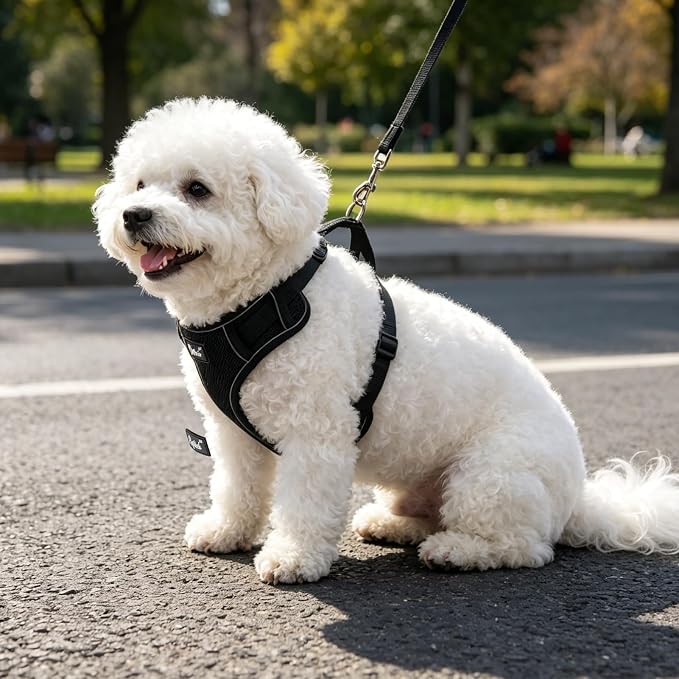 PUPTECK Dog Harness and Leash Set, No Pull Adjustable Pet Small Dog Harness, Reflective Soft Mesh Pet Vest, for Small Medium Dogs Walking, Black, XS