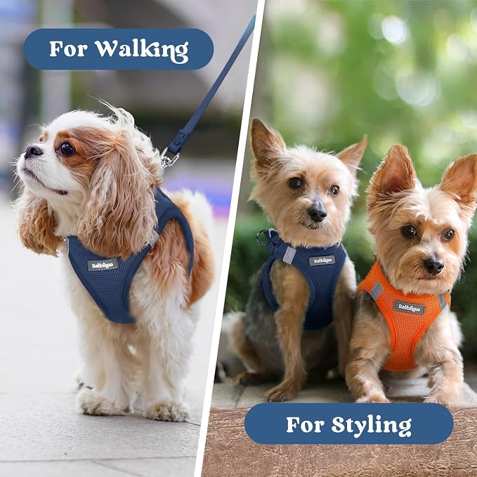 rabbitgoo Step-in Small Dog Harness, Puppy Vest for Small Sized Pet | Easy Put on and off, Lightweight, Soft, Breathable Quick-Dry Air Mesh for Comfortable Secure Walking, Navy Blue XXXS